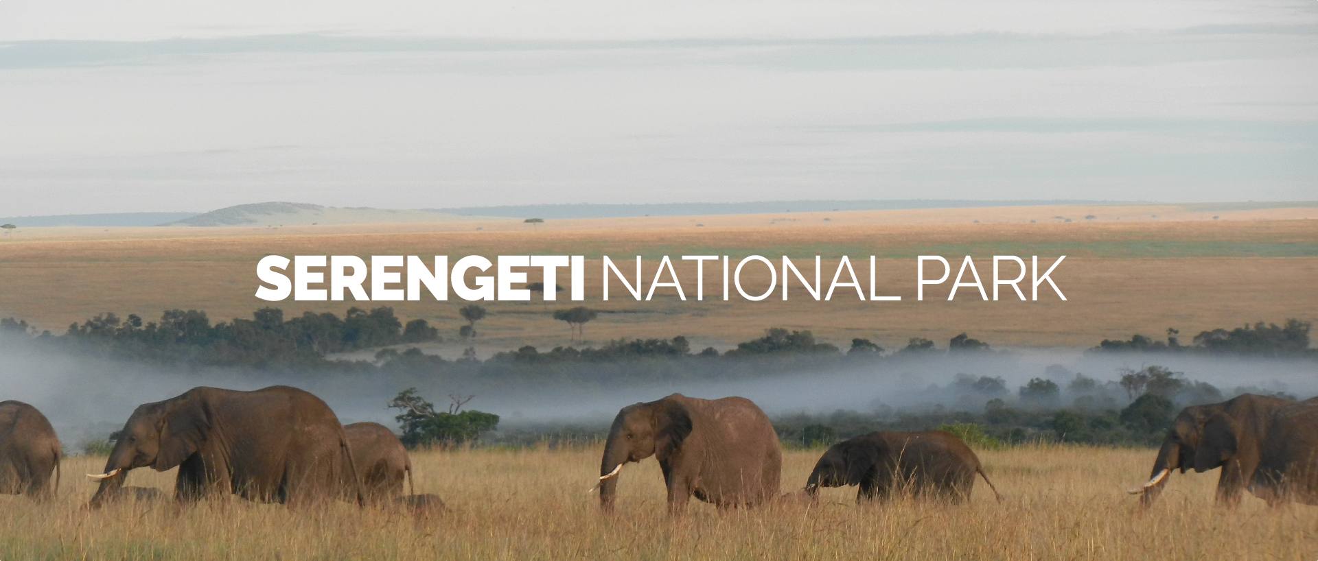 SERENGETI NATIONAL PARK