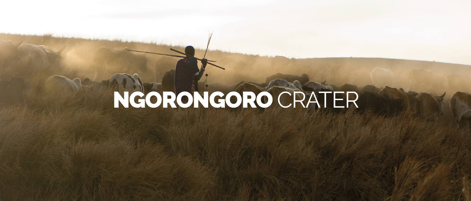 NGORONGORO CRATER