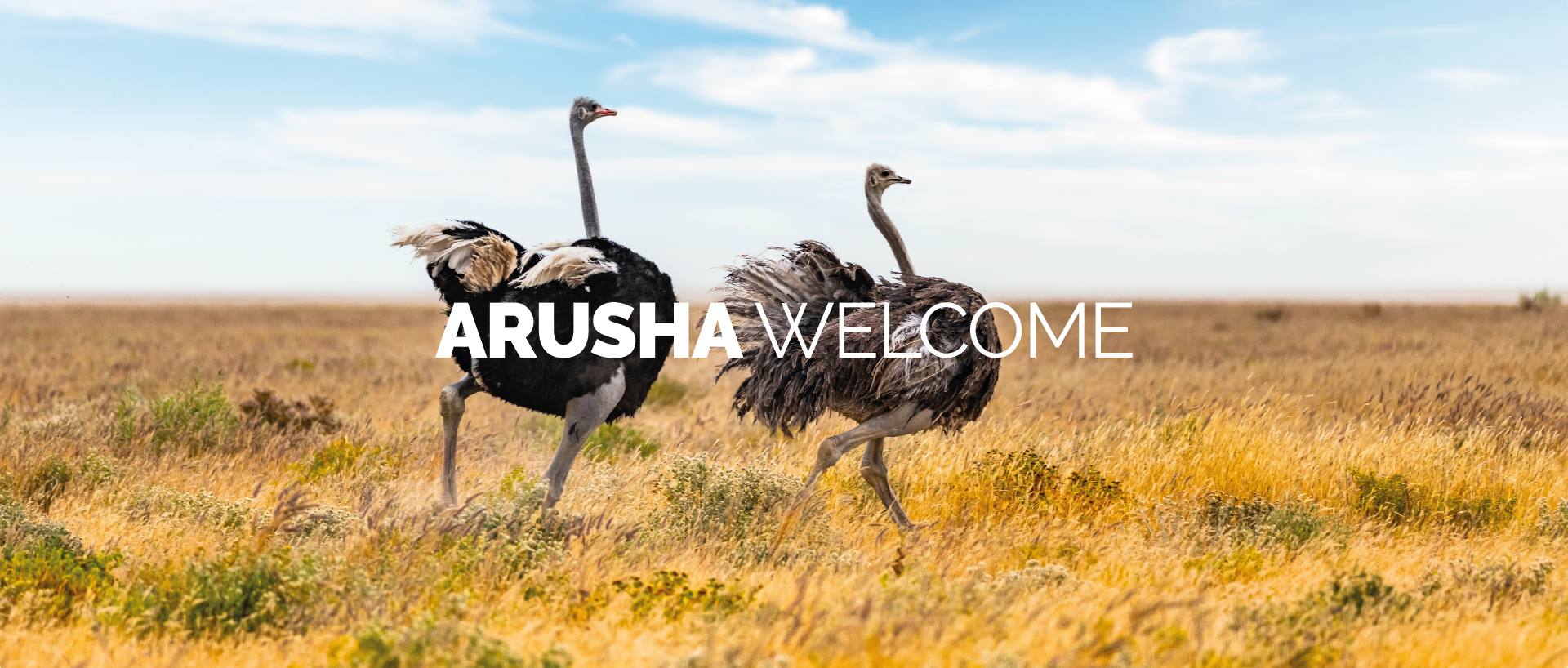 ARUSHA WELCOME