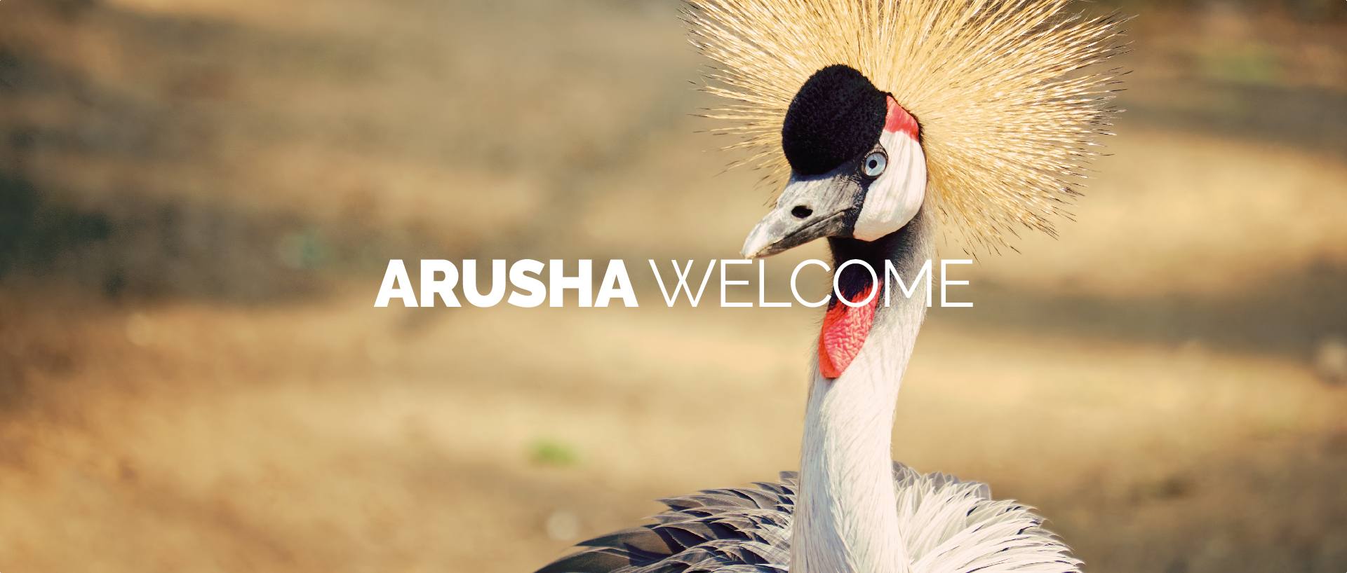 ARUSHA WELCOME