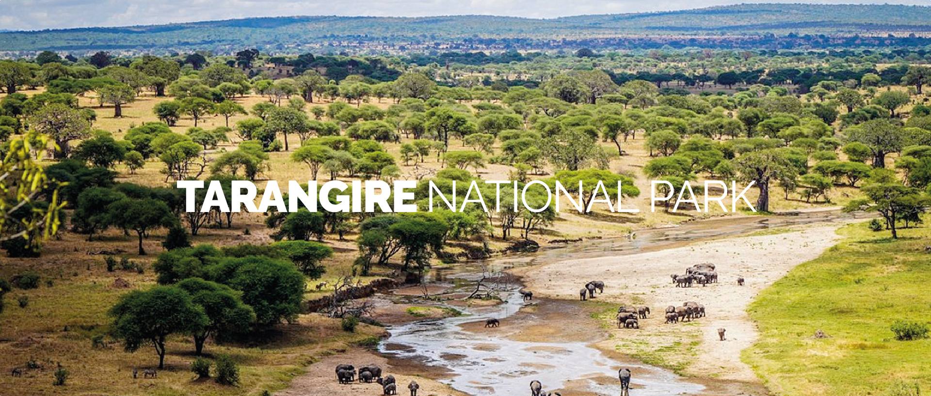 TARANGIRE NATIONAL PARK