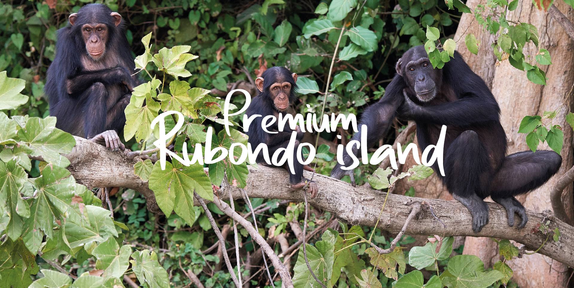 PREMIUM RUBONDO ISLAND