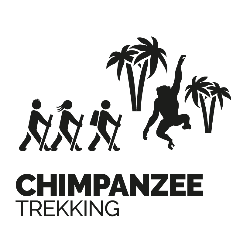 CHIMPANZEE TREKKING