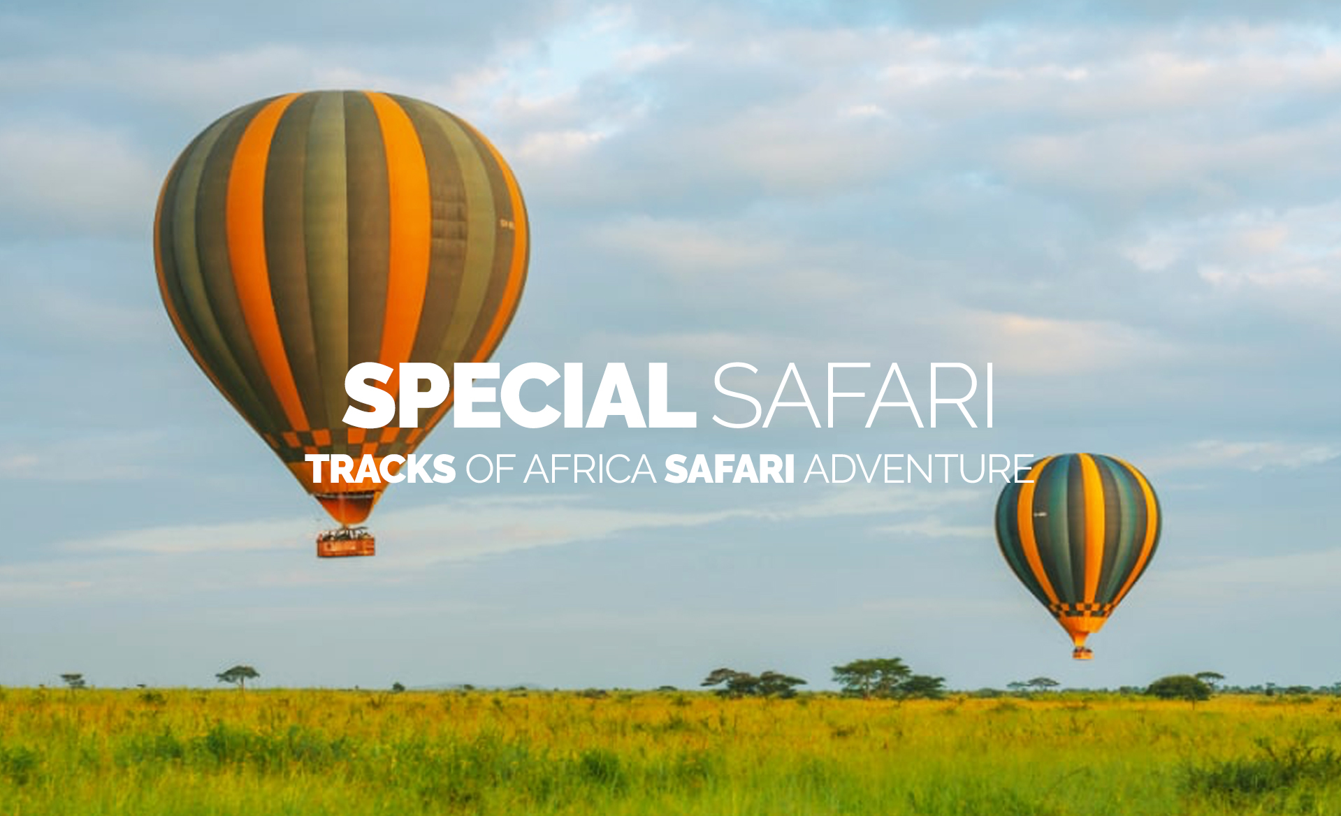 Safari Special