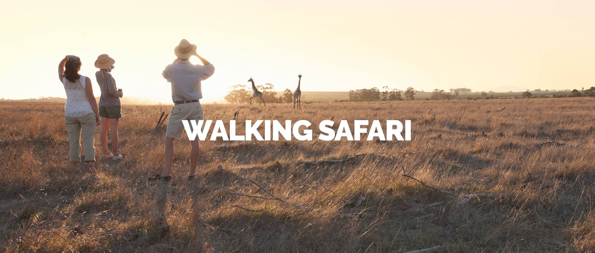 TARANGIRE WALKING SAFARI