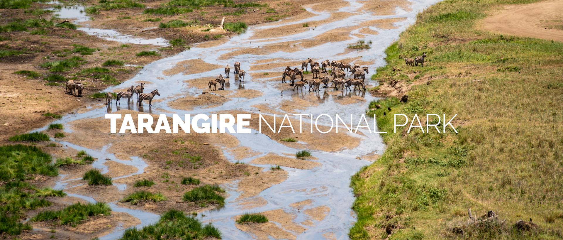 TARANGIRE NATIONAL PARK