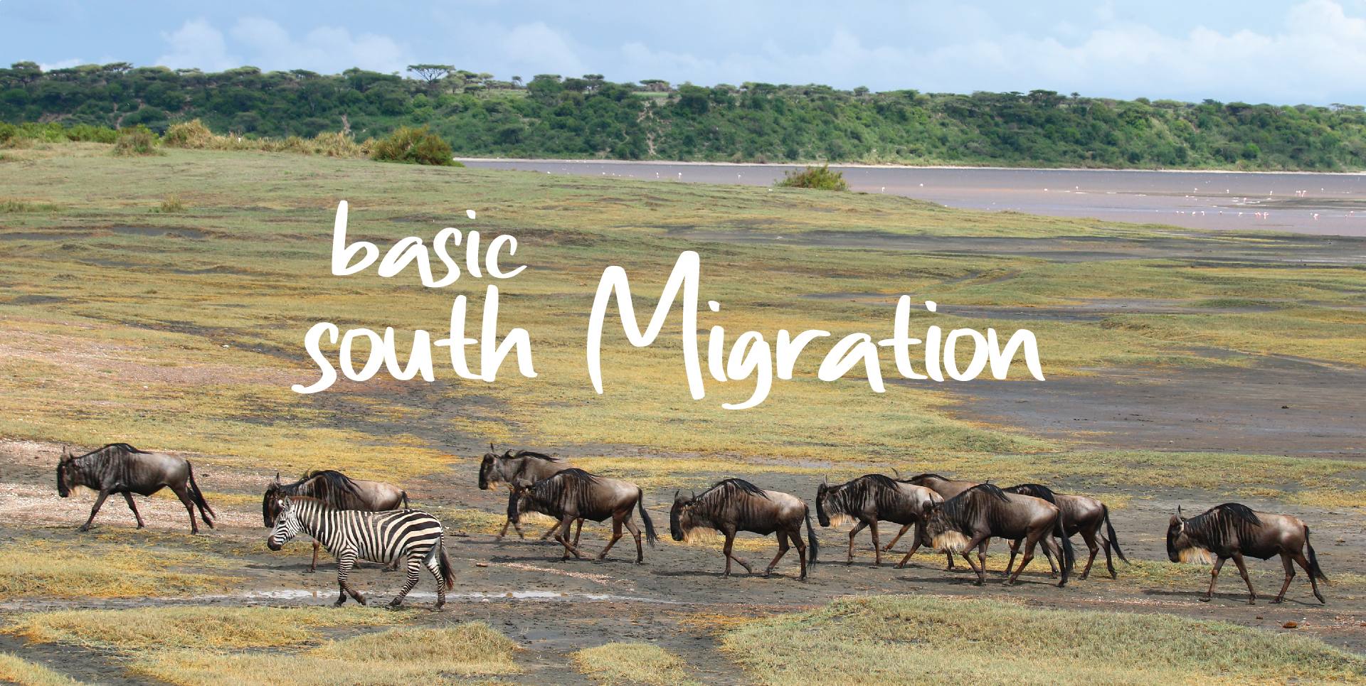 ITINERAIRE TOUR BASIC SOUTH MIGRATION