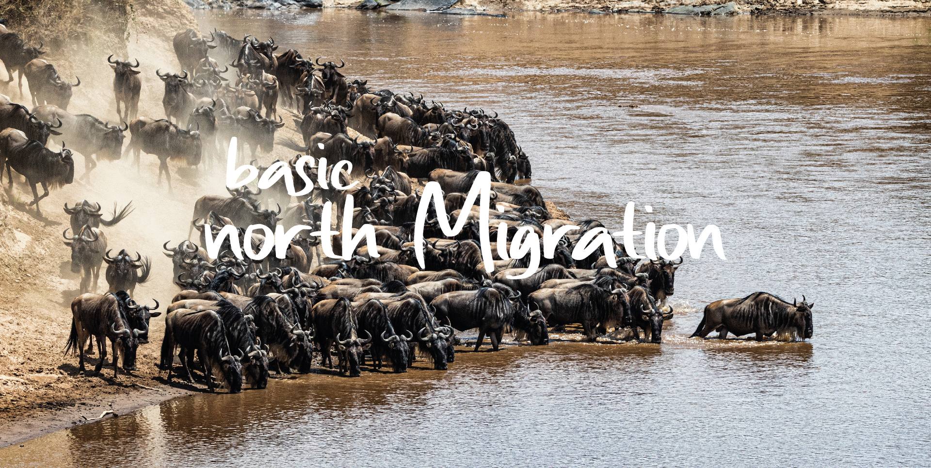 ITINERAIRE TOUR BASIC NORTH MIGRATION