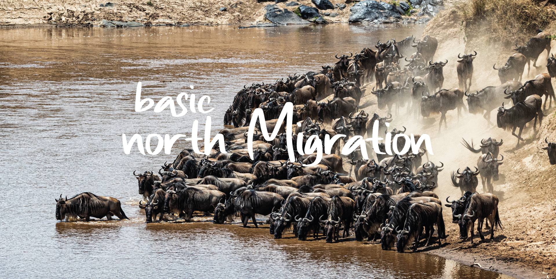 BASIC NORTH MIGRATION