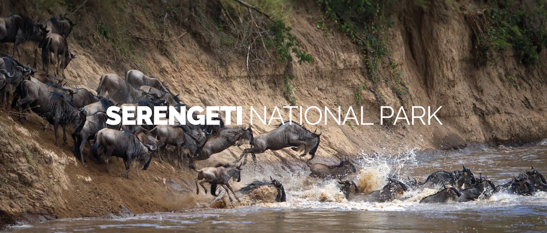 SERENGETI NATIONAL PARK - NORD