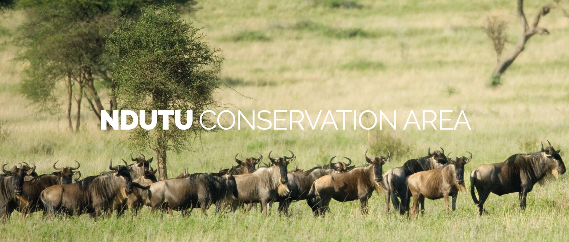 NDUTU CONSERVATION AREA