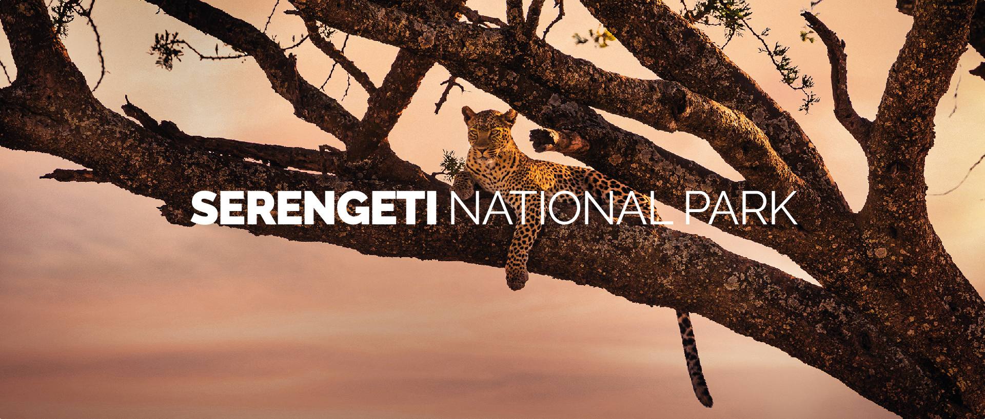 SERENGETI NATIONAL PARK