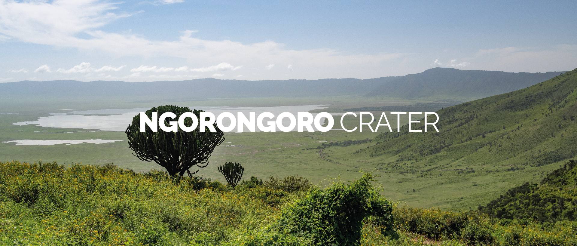 NGORONGORO CRATER