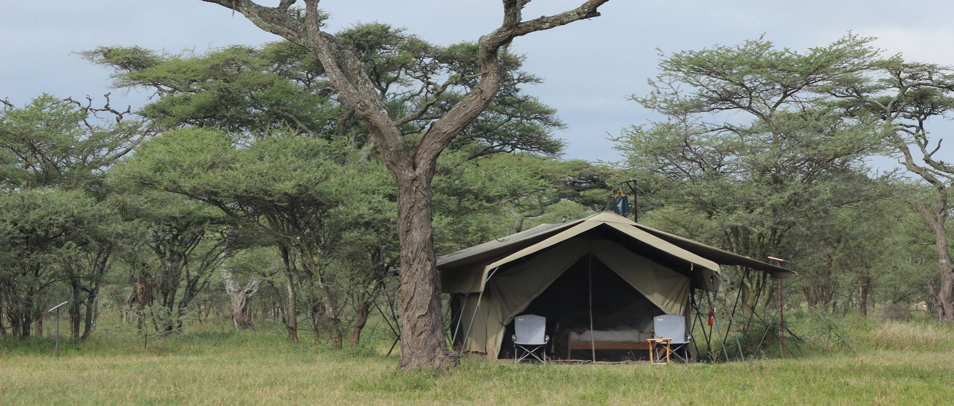 Ndutu Wilderness Camp